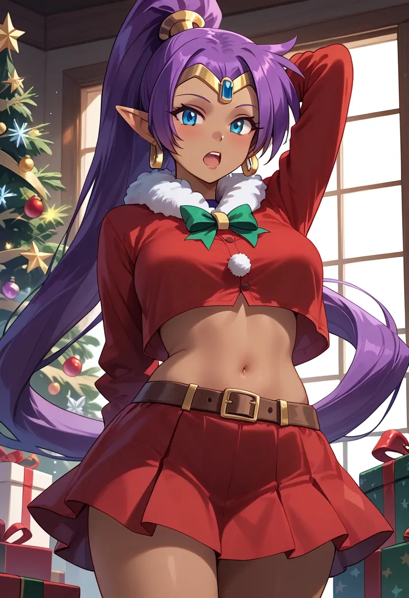 shantae_(series),shantae,Christmas,skirt  - 